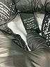 Apt. 9 Chevron-herringbone Black Shorts Size 10 - photo 4
