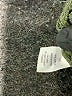 Pinque 100% Acrylic Green Pullover Sweater Size XS - photo 8