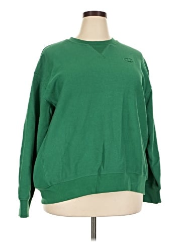 Champion Sweatshirt (view 1)
