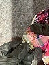 Allison Daley Plaid Pink Long Sleeve Button-Down Shirt Size 20W - photo 8