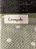 Loveappella Polka Dots Green Short Sleeve Blouse Size M - photo 7