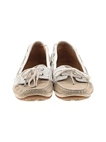 Sebago Flats (view 2)