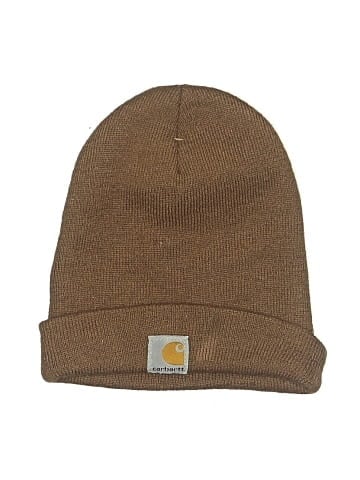 Carhartt Beanie (view 1)