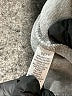 Set Tropical Silver Sweatshirt Size XS - photo 8