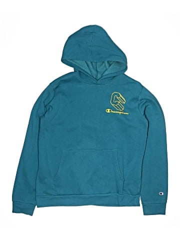 Champion Pullover Hoodie (view 1)