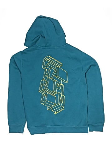 Champion Pullover Hoodie (view 2)
