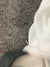 Sara Campbell 100% Polyester White 3/4 Sleeve Blouse Size L - photo 8