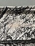 all in motion Print Silver Active Pants Size XL - photo 7