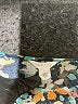 Caslon Black Long Sleeve Blouse Size XL - photo 7