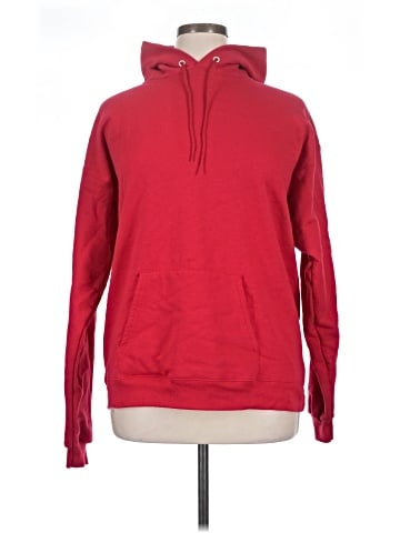 Hanes Pullover Hoodie (view 1)