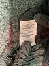 Eddie Bauer Solid Black Cargo Shorts Size 2 - photo 4