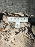 Chaus 100% Polyester Animal Print Brown Long Sleeve Blouse Size M - photo 7