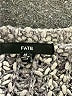 Fate Tweed Gray Pullover Sweater Size M - photo 7