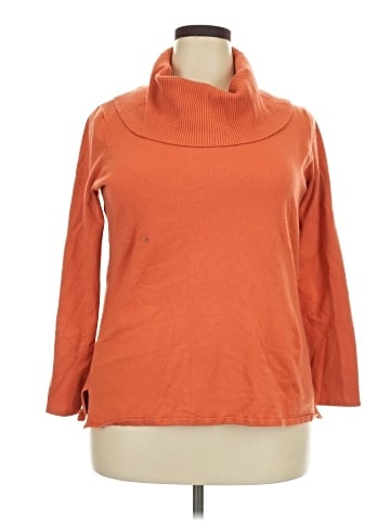 Fashion Bug Turtleneck Sweater (view 1)