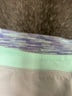 Ivivva Gray Blue Athletic Shorts Size 8 - photo 3