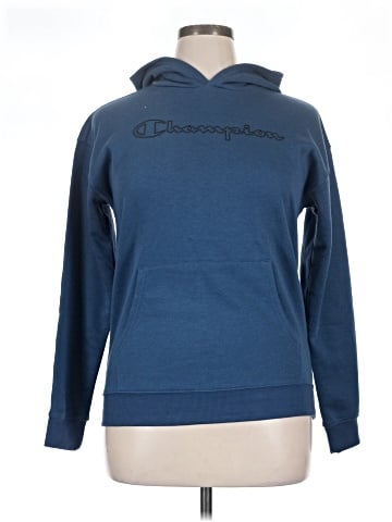 Champion Pullover Hoodie (view 1)