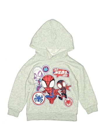 Marvel Pullover Hoodie (view 1)