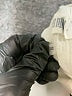 Caslon Ivory Shorts Size 32 waist - photo 4