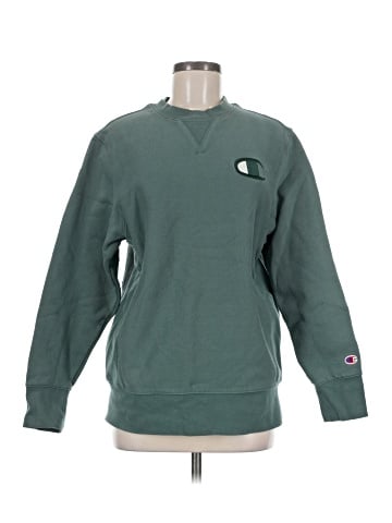 Champion Sweatshirt (view 1)