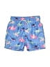 Cat & Jack 100% Polyester Tropical Blue Board Shorts 9-12 MO / 12 MO - photo 1