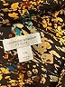 Christopher & Banks Print Gold Jacket Size XL (petite) - photo 6