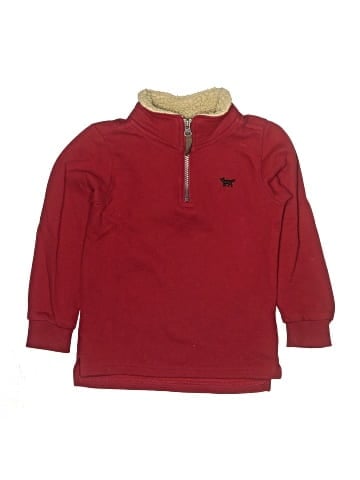 Carter's Pullover Sweater (view 1)