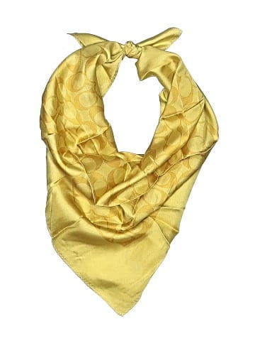 Coach Silk Scarf (view 1)