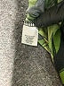 Apt. 9 Print Green Cocktail Dress Size S - photo 5