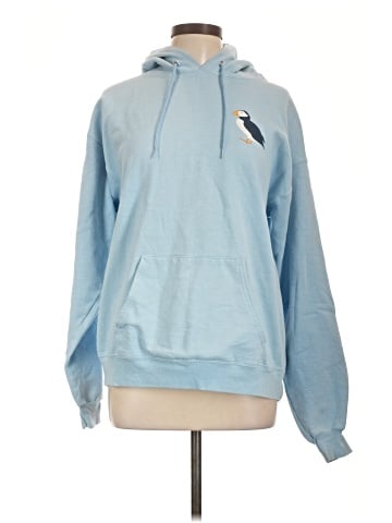 Hanes Pullover Hoodie (view 1)