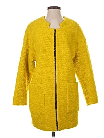 Trafaluc by Zara Coat (view 1)