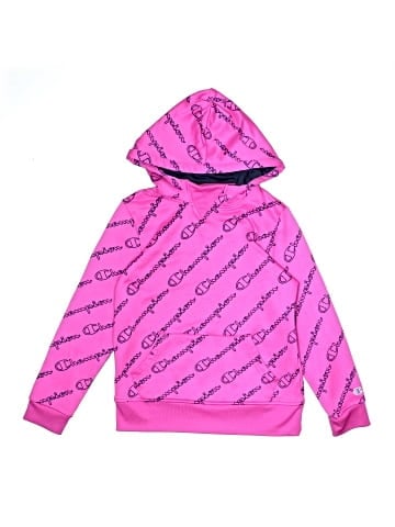 Champion Pullover Hoodie (view 1)