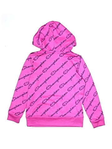 Champion Pullover Hoodie (view 2)