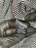 Bold Elements Gray 3/4 Sleeve Top Size L - photo 8