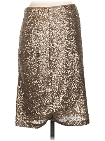 Ann Taylor Formal Skirt (view 2)