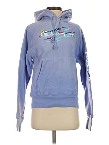 Champion Sweatshirt (view 1)