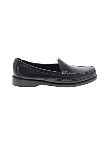 Sebago Flats (view 1)