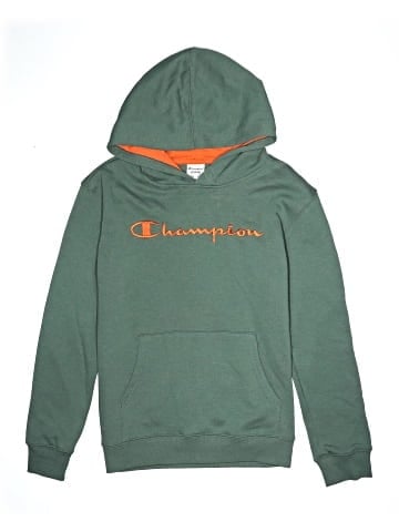 Champion Pullover Hoodie (view 1)