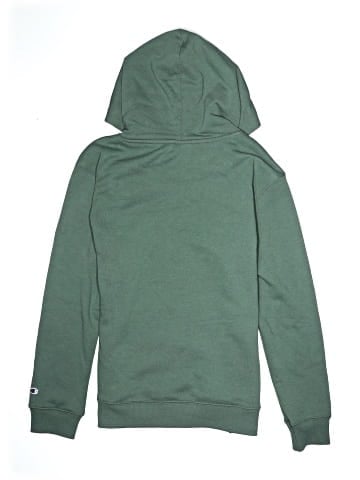 Champion Pullover Hoodie (view 2)