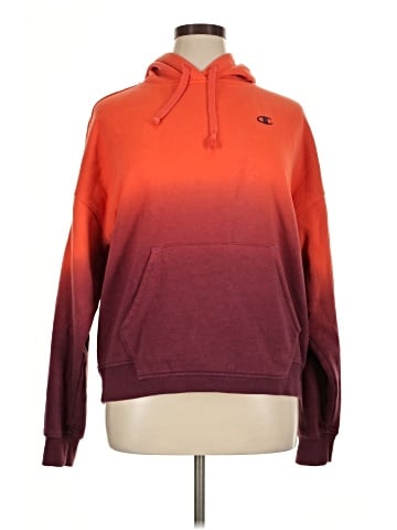 Champion Pullover Hoodie (view 1)