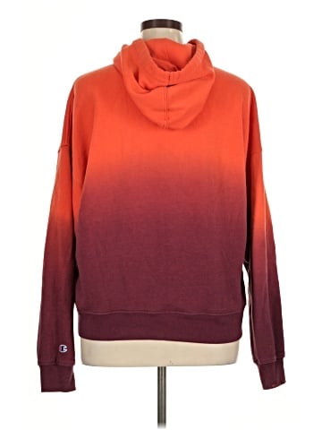 Champion Pullover Hoodie (view 2)