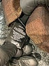 Sanctuary Plaid Brown Dress Pants Size M - photo 8