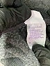 Stars Above Gray Pullover Sweater Size M - photo 8