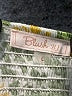 Blush 100% Rayon Green 3/4 Sleeve Blouse Size L - photo 4