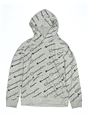 Champion Pullover Hoodie (view 1)