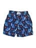 Baby Gap Tropical Blue Board Shorts Size 18-24 mo - photo 2