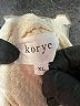 Korye Ivory Short Sleeve Turtleneck Size XL - photo 7