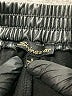 Shinestar Black Track Pants Size S - photo 4