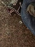 7 For All Mankind Hearts Blue Jeans Size 27 waist - photo 6