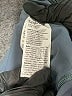 SPANX Blue Active Pants Size M - photo 8