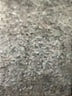 NY&C Gray Short Sleeve Top Size XL - photo 7